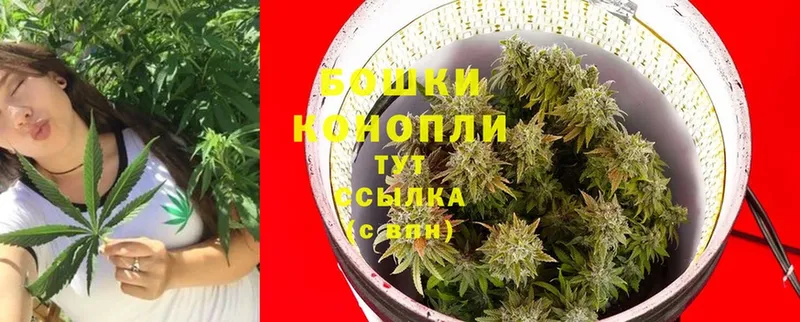 Бошки Шишки LSD WEED  даркнет сайт  Кирово-Чепецк 